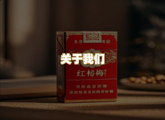 关于我们